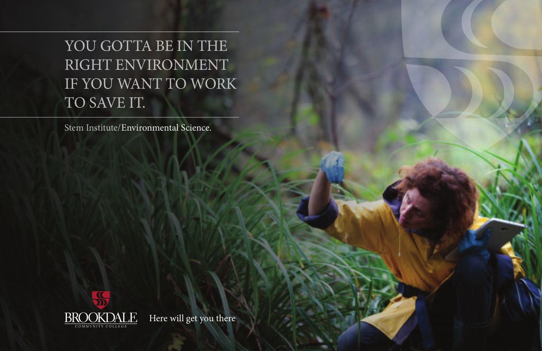 STEM Institute: Environmental Science