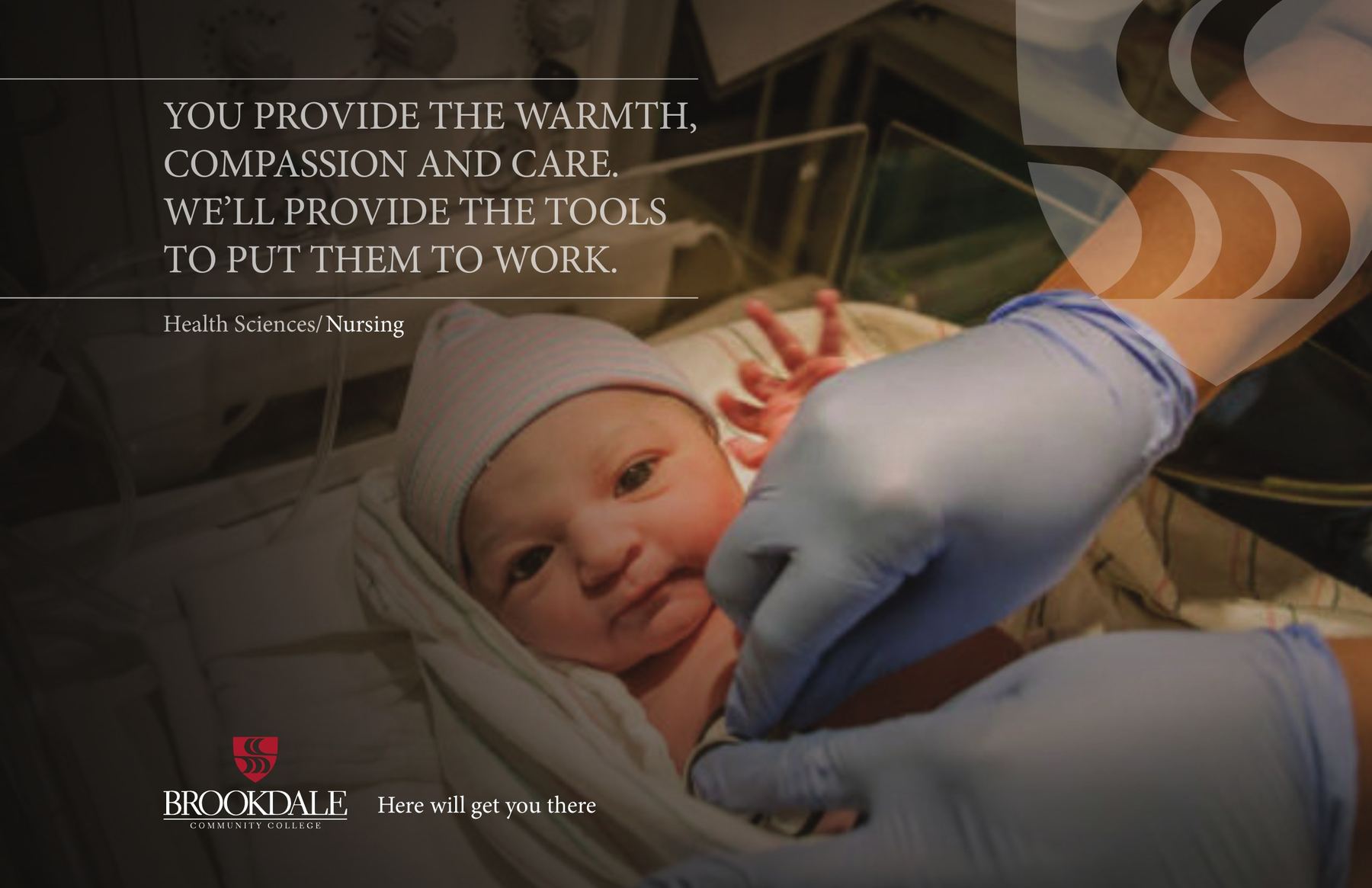 Health Sciences: Nursing